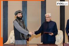 Pakistan and Afghanistan agree to immediate ceasefire after peace talks in Doha, Qatar announces BIG statement, says, 'Negotiations..'