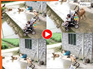 Viral Video Today: मासूम के लिए 'देवदूत' बनकर आया डॉगी, दौड़कर आया और हादसे से बचा लिया | देखें वीडियो