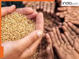 सरकार ने राशन कार्ड से काट दिए 2.25 करोड़ लोगों के नाम, लिस्ट में आप भी तो नहीं? ऐसे करें चेक