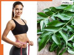 इस पत्ते को चबाकर घटाएं कई किलो वजन! थुलथुले पेट में मिलेगा लंबा छुटकारा