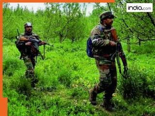 india.com top news