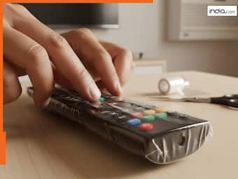 india.com top news