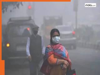 Delhi Pollution Live Updates: Rekha Gupta government bans tandoors, hotels, dhabas shift to clean fuel