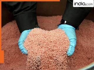 क्या होता है अमोनियम नाइट्रेट फ्यूल ऑयल? जिससे हुआ लाल किले पास धमाका, ये पकड़ में क्यों नहीं आता