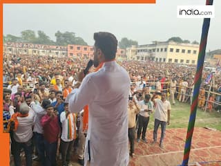 Jamui Vidhan Sabha Chunav: जमुई में NDA ने 3-1 से मारा मैदान, जानें- महागठबंधन को कहां मिली जीत