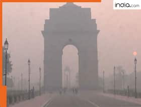 india.com top news