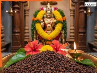 शुक्रवार के दिन कर लें लौंग के ये 5 उपाय...पैसों से भर जाएगी तिजोरी, मां लक्ष्मी करेंगी घर में वास