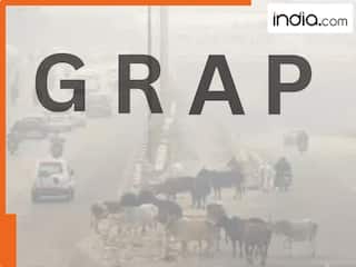 Delhi Pollution: आखिर क्या है ये GRAP? प्रदूषण बढ़ते ही क्यों चढ़ने लगते हैं इसके लेवल, जानें हर स्टेज पर क्या-क्या लगता है बैन!
