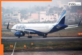 'Situation will get normal between...': IndiGo CEO makes big statement amid nationwide flight cancellations and delays