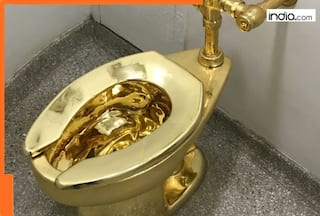 Rs 887853500: World's most expensive toilet is made of solid gold! its designed by...; its name will SHOCK you, it is...