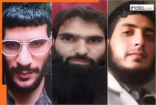 Delhi blast SHOCKING details: Terror doctors wanted to fight in Syria, Jaish handlers told them to..., radicalization began in...