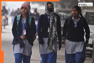 Cold wave to intensify in Delhi? City records coldest November day as temp plummets to..., Met predicts...