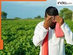 इन किसानों से सरकार वापस लेगी सम्मान निधि की 21वीं किस्त, 7 आसान स्टेप्स में जान लें सरेंडर प्रोसेस