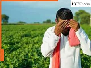 इन किसानों से सरकार वापस लेगी सम्मान निधि की 21वीं किस्त, 7 आसान स्टेप्स में जान लें सरेंडर प्रोसेस