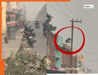 बंदर की 'शैतानी' से पूरा इलाका हुआ ब्लैकआउट! खंभे पर चढ़कर किया शॉर्टसर्किट, लोग बोले- 'पूरे इलाके से दुश्मनी'! देखें- Video