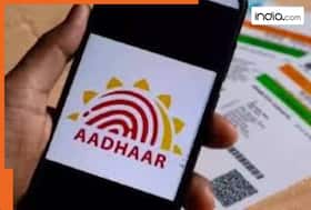 india.com top news