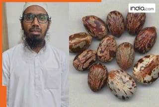 india.com top news