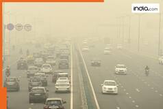 SC expresses concern about Delhi-NCR pollution, CJI shares his own experience