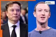 'WhatsApp knows what you're messaging': Elon Musk's serious allegation against Mark Zuckerberg's app