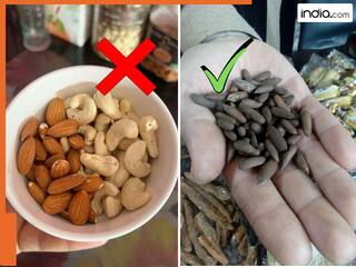 बादाम-अखरोट से ज्यादा फायदेमंद है चिलगोजा! सर्दियों में संजीविनी बूटी से कम नहीं, मिलते हैं हजारों फायदे