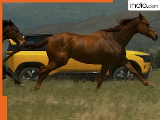 TATA Sierra 2025: इस दिन लॉन्च होने जा रही है टाटा की ये नई SUV कार, जानें कीमत और हाई-टेक फीचर्स की पूरी जानकारी