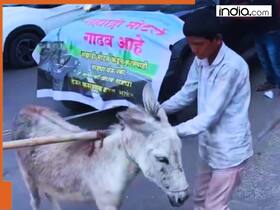 india.com top news
