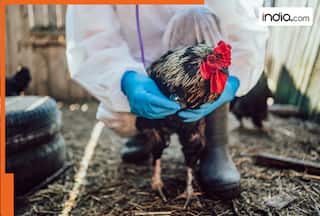 Amid Bird Flu concerns, US reports its first human H5N5 death