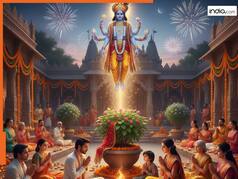 देवउठनी एकादशी के दिन इन चीजों का करें दान...हर काम में मिलेगी सफलता, दूर होगी पैसों की तंगी