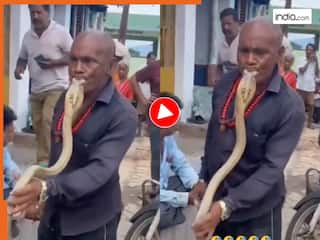 Sanp Ka Video: किंग कोबरा के साथ ही लिपलॉक करने लगे चाचाजी, जानकर बचाकर भागा तो फिर पकड़ लिया