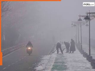 Delhi-NCR weather update: IMD warns of further temperature drops as cold wave intensifies in National Capital