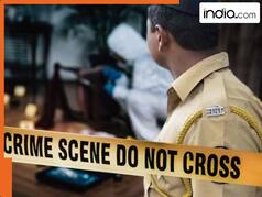 Delhi triple murder shocker: Delhi: Man walks into police station, claims to have killed mother, siblings, police says...