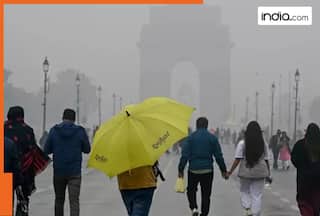 Delhi Weather: RAIN expected in Delhi-NCR on..., cold-wave alert, heavy rain alert for Tamil Nadu and Kerala - check forecast
