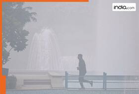 india.com top news