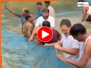 बिहार में दिखा राहुल गांधी का देसी अंदाज! तालाब में लगाई छलांग और मछली पकड़ते हुए मचाया धमाल  | देखें Viral Video