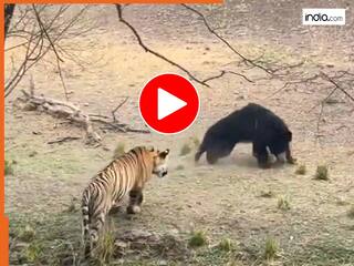 india.com top news