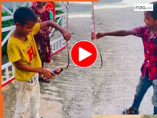 Saanp Ka Video: सांप बड़ा उछल रहा था, छोटे से बच्चे ने झटके में कर दी उसकी बोलती बंद | देखें वायरल वीडियो