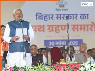 Bihar Government: ये हैं नीतीश सरकार के 'स्पेशल 26', जानें कौन कहां से जीता, किस पार्टी के कितने मंत्री?