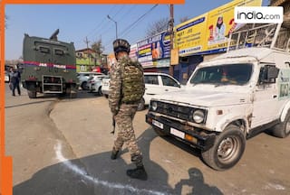 Delhi blast: Major crackdown across the Kashmir Valley, govt employees taken in custody, detentions made in Srinagar, Sopore, Baramulla...