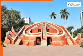 Man shoots himself dead in broad daylight at Delhi's Jantar Mantar