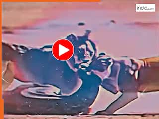 Sher Ka Video: अजगर का शरीर फाड़कर निकाल लिया बच्चा, शेर-शेरनी का ऐसा रौद्र रूप नहीं देखा होगा | देखें वीडियो