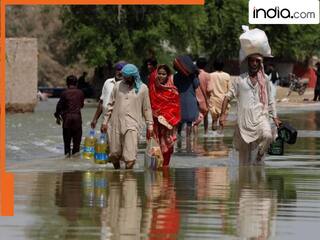 भारत ने कर दिया ये काम तो 30 दिन में प्यासा तड़पेगा पाकिस्तान, विदेश मंत्री ने खुद सुनाया दुखड़ा