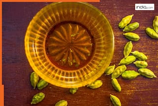 बिग बॉस 19 में Tanya Mittal का इलायची पानी हुआ वायरल, जानें कैसे करता है ये पाचन और वजन कंट्रोल दोनों में मदद