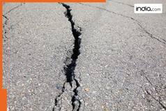 MASSIVE crack on Delhi's Mukarba Chowk flyover triggers panic and safety concerns; locals call it a 'Death Trap' | Watch video