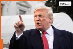 india.com top news