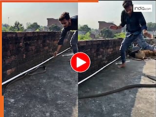Sanp Ka Video: चुपके से सांप पकड़ने गया था लड़का, मगर तभी कर दिया अटैक | देखें वीडियो