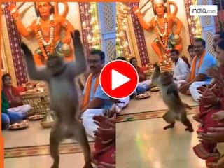 Bandar Ka Video: भजन-कीर्तन के बीच बंदर ने किया ऐसा डांस, भक्त बोले- साक्षात बजरंगबली का चमत्कार | देखें वीडियो