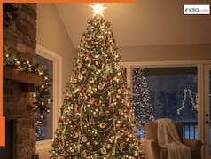 Christmas Tree Vastu: गुड लक का प्रतीक है क्रिसमस ट्री...इसे घर में लगाने से दूर होता है वास्तु दोष, आती है सुख-समृद्धि