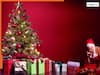Christmas Tree Vastu: क्रिसमस ट्री पर ये चीजें लगाईं तो पूरे साल नहीं होगी पैसों की परेशानी! घर में आएगी सुख-समृद्धि
