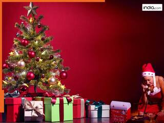 Christmas Tree Vastu: क्रिसमस ट्री पर ये चीजें लगाईं तो पूरे साल नहीं होगी पैसों की परेशानी! घर में आएगी सुख-समृद्धि