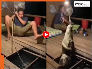 मछली पकड़ते दौरान कांटे में फंसा खतरनाक मगरमच्छ! उछलता रहा शख्स और फिर..., Viral Video देख कांप जाएंगे